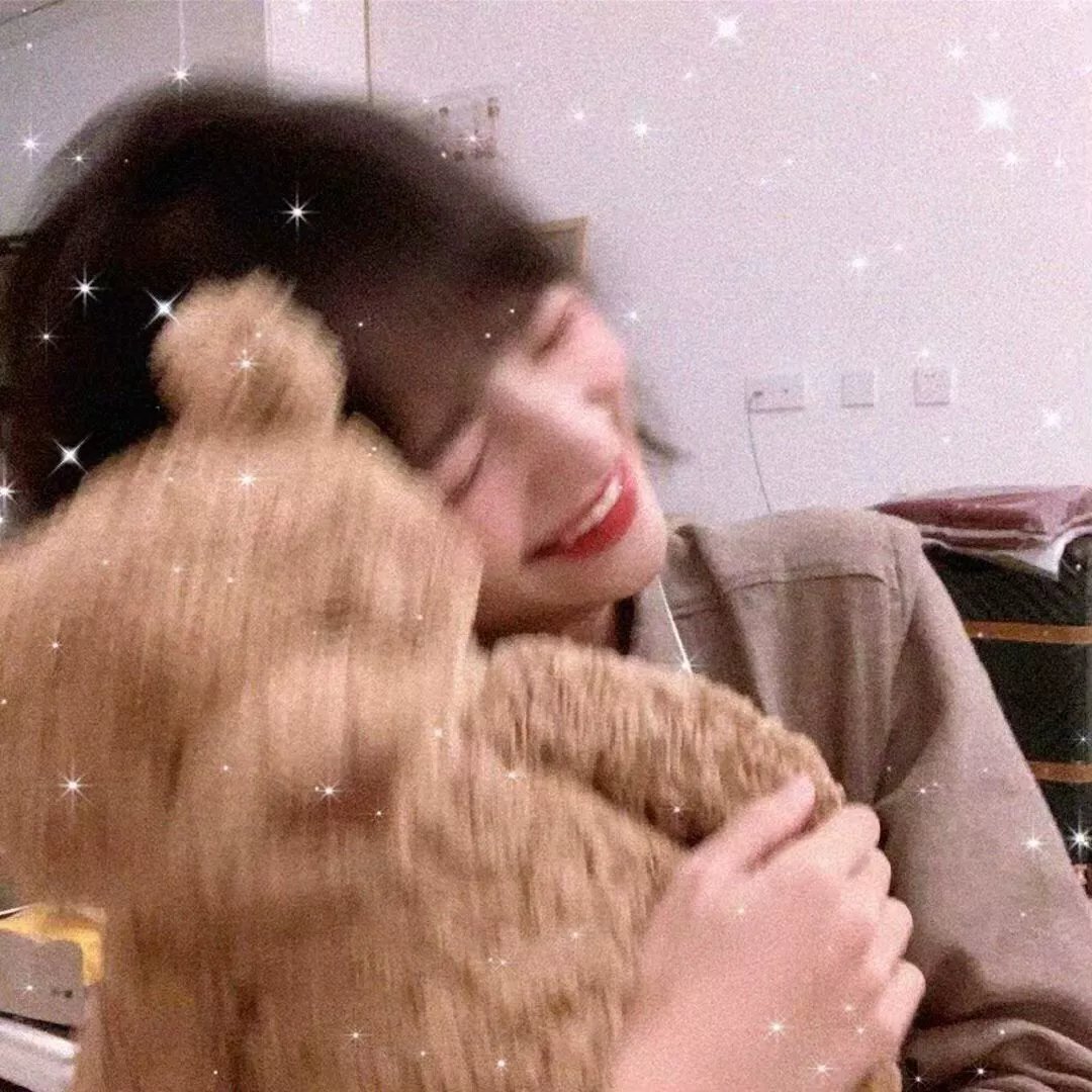 看不见的城市第二季